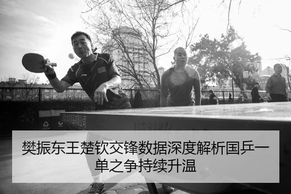 樊振东王楚钦交锋数据深度解析国乒一单之争持续升温
